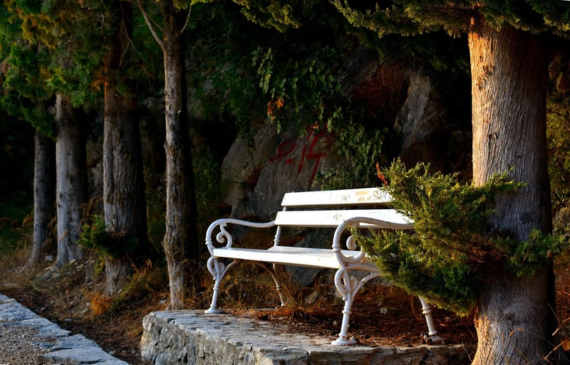 Arbor in Garden