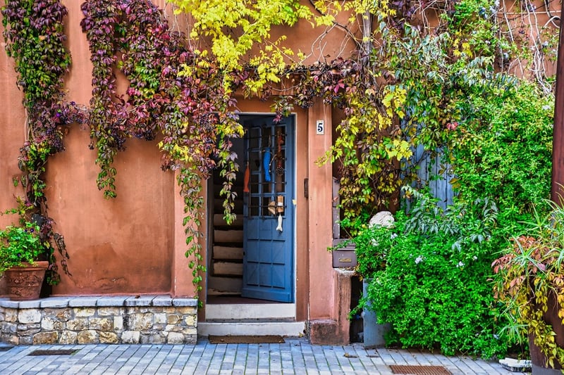 Vertical Wall Garden